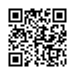 4-1393817-3 QRCode