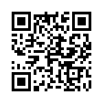 4-1617073-1 QRCode