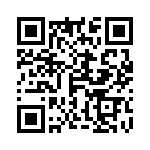 4-1761183-1 QRCode