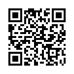 4-2172064-2 QRCode