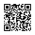 4-2271137-2 QRCode