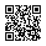 41006 QRCode