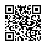 4181-3PG-300 QRCode