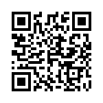 4232-333K QRCode