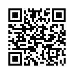 4281-4SG-300 QRCode