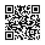 4281-6PG-300 QRCode