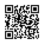 4295_C5 QRCode