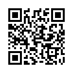 4304-4061 QRCode