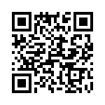 431305-17-0 QRCode