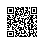 445I33E13M00000 QRCode