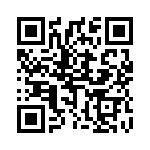 450_166 QRCode