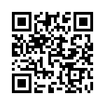 51513-12-38T12 QRCode