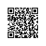 51740-10700000AA QRCode