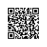 51760-10400804AA QRCode