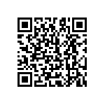 51761-10000404AA QRCode