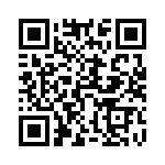 54101-T10-06 QRCode