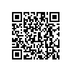 54101-T30-05-A02 QRCode