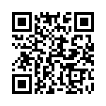 54101-T30-08 QRCode