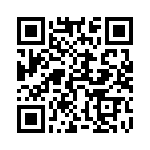 54102-T10-04 QRCode