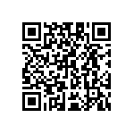 54122-807201300LF QRCode