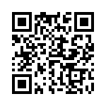 6-1393810-6 QRCode