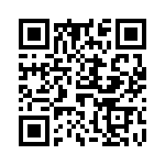 61030011017 QRCode