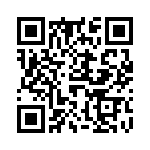 61030013017 QRCode