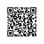 612-87-424-41-001101 QRCode