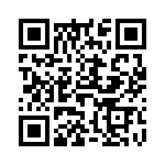 61304421121 QRCode