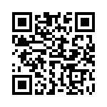 633P13305I3T QRCode