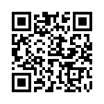 637P17333I3T QRCode