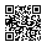 64991-G11-4R QRCode