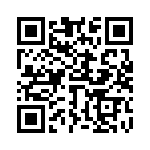 653E13306A3T QRCode