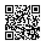 653E156H3C2T QRCode