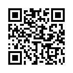 653P17505I3T QRCode