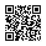 691304130006 QRCode