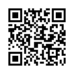 691304130008 QRCode