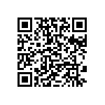 811-22-033-30-001101 QRCode