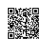 813-22-036-30-001101 QRCode