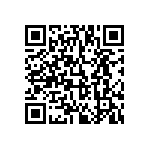 813-SS-012-30-004101 QRCode