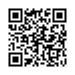 871207 QRCode