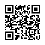 911713 QRCode