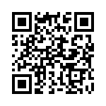 911999 QRCode