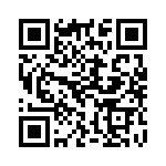 913A704B QRCode