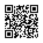 924517-28-17-I QRCode