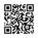 95C06E2GWT QRCode