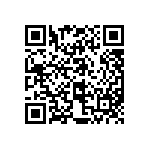 97-3106A22-22S-417 QRCode
