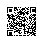 97-3107A24-11SW-417 QRCode