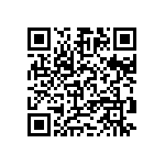 9T06031A5361DBHFT QRCode