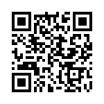 A20110307L1 QRCode